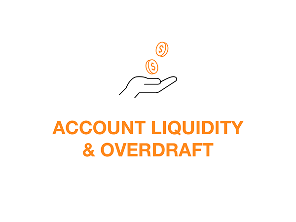 3-Account Liquidation-1